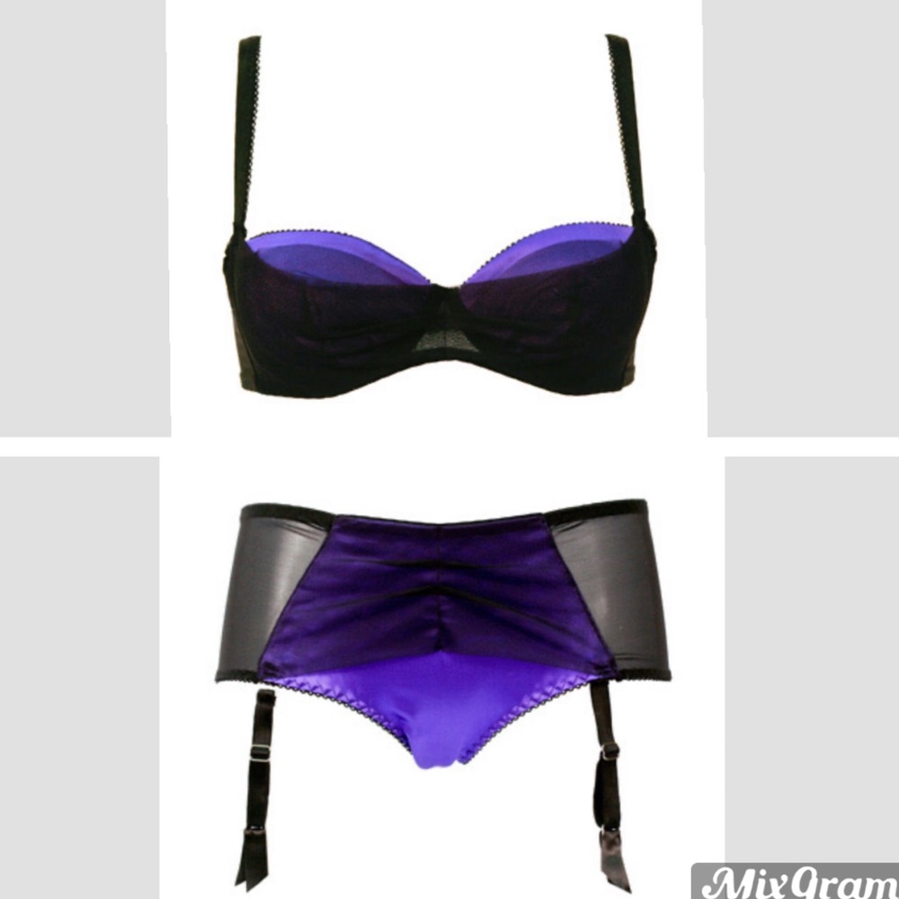 🦋 NWOT Lascivious Simone Lingerie Set